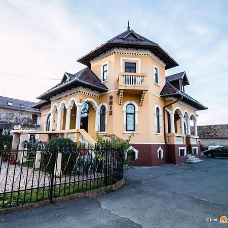Pensiunea Onix Făgăraş 외부 사진