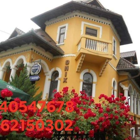 Pensiunea Onix Făgăraş 외부 사진