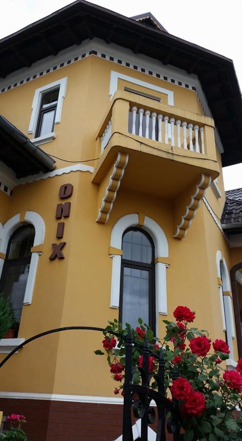 Pensiunea Onix Făgăraş 외부 사진