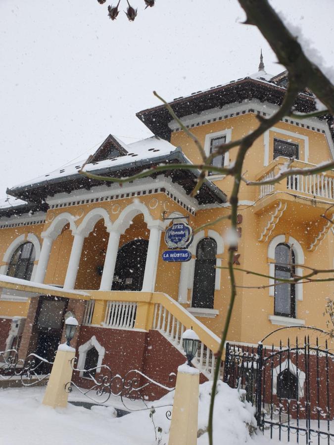 Pensiunea Onix Făgăraş 외부 사진