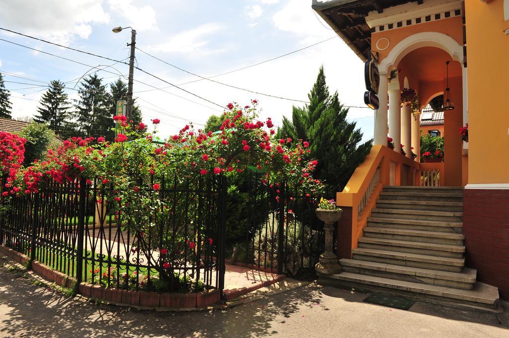 Pensiunea Onix Făgăraş 외부 사진