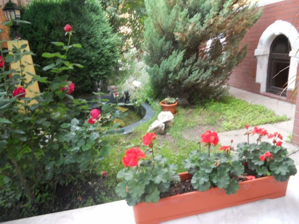 Pensiunea Onix Făgăraş 외부 사진
