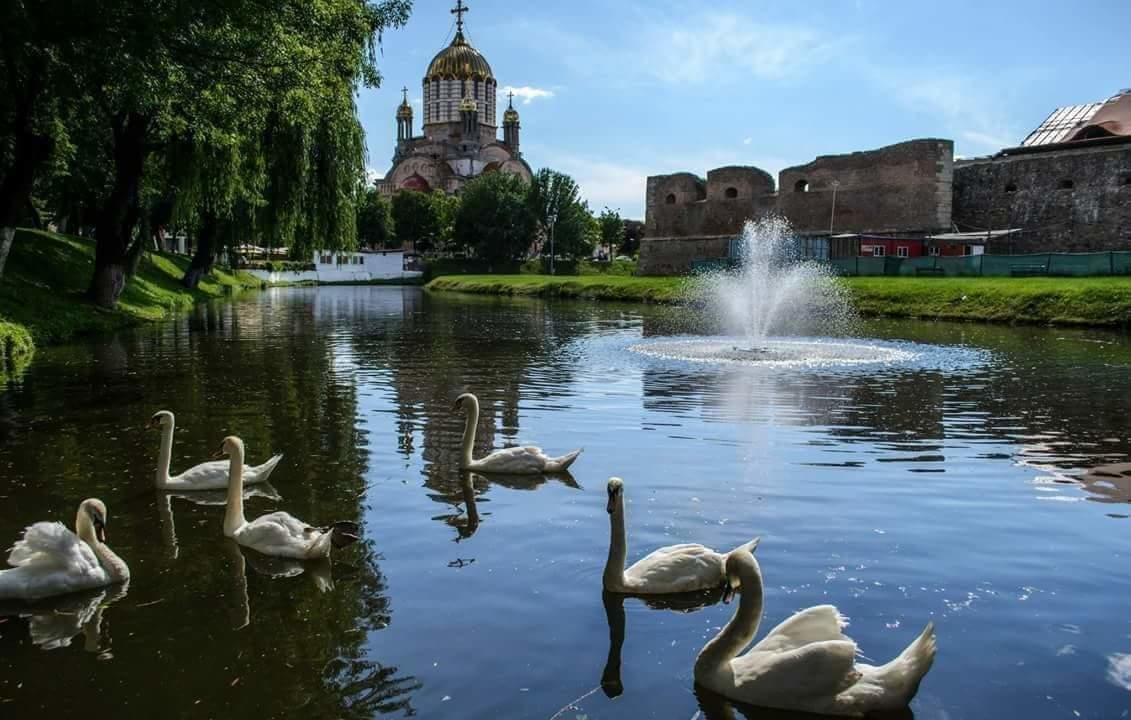 Pensiunea Onix Făgăraş 외부 사진