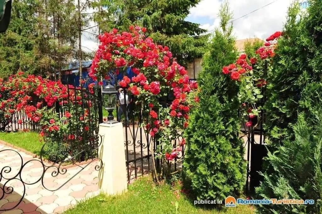Pensiunea Onix Făgăraş 외부 사진