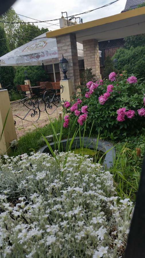Pensiunea Onix Făgăraş 외부 사진