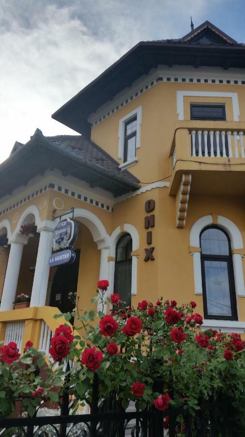 Pensiunea Onix Făgăraş 외부 사진