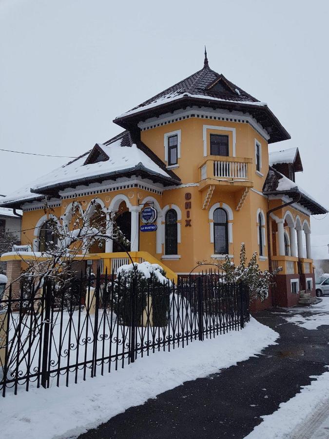 Pensiunea Onix Făgăraş 외부 사진